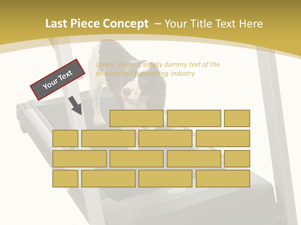 Equipment Exercise Pet PowerPoint Template