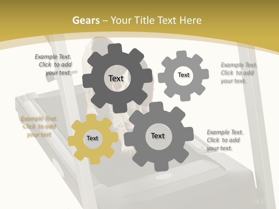 Equipment Exercise Pet PowerPoint Template