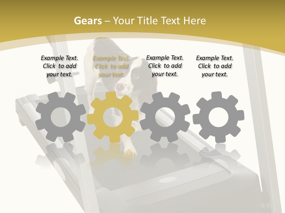 Equipment Exercise Pet PowerPoint Template