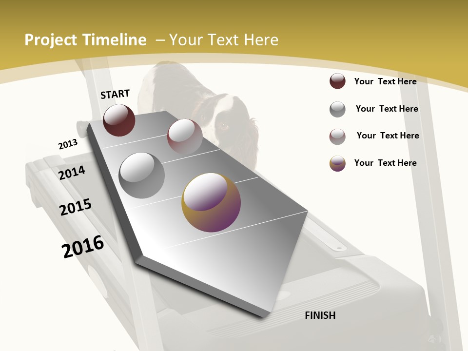 Equipment Exercise Pet PowerPoint Template