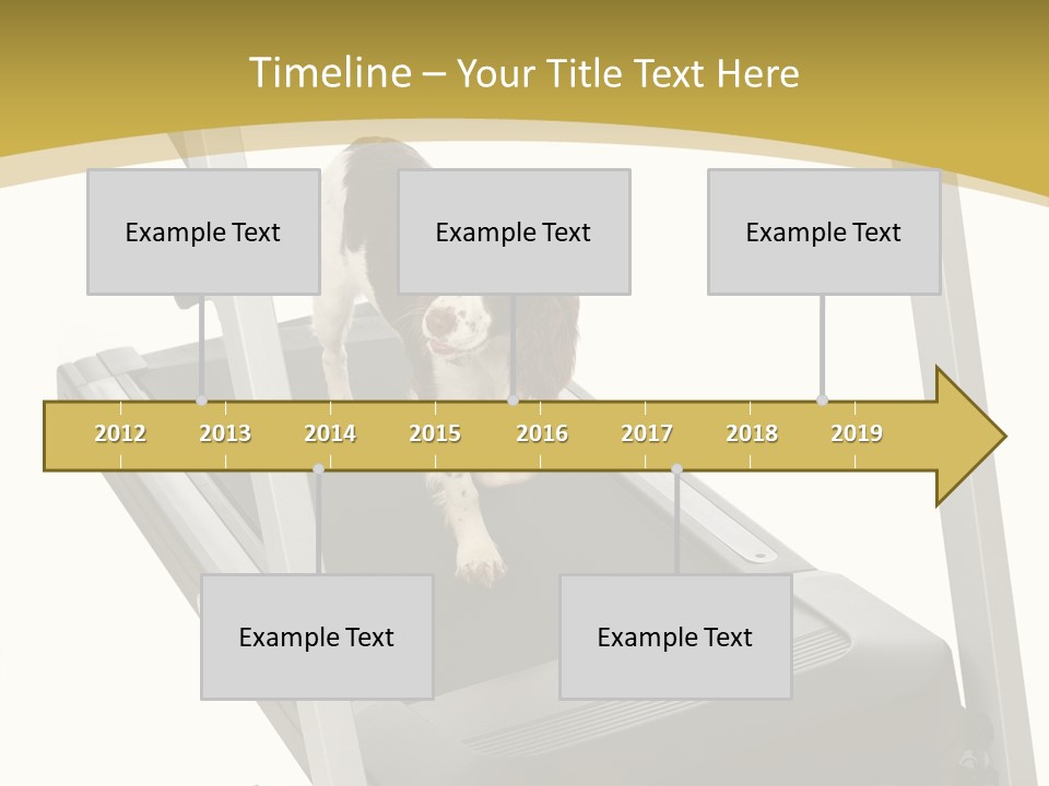 Equipment Exercise Pet PowerPoint Template