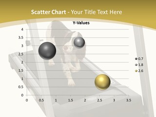 Equipment Exercise Pet PowerPoint Template