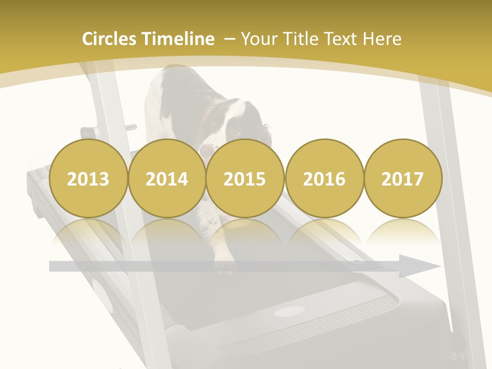 Equipment Exercise Pet PowerPoint Template