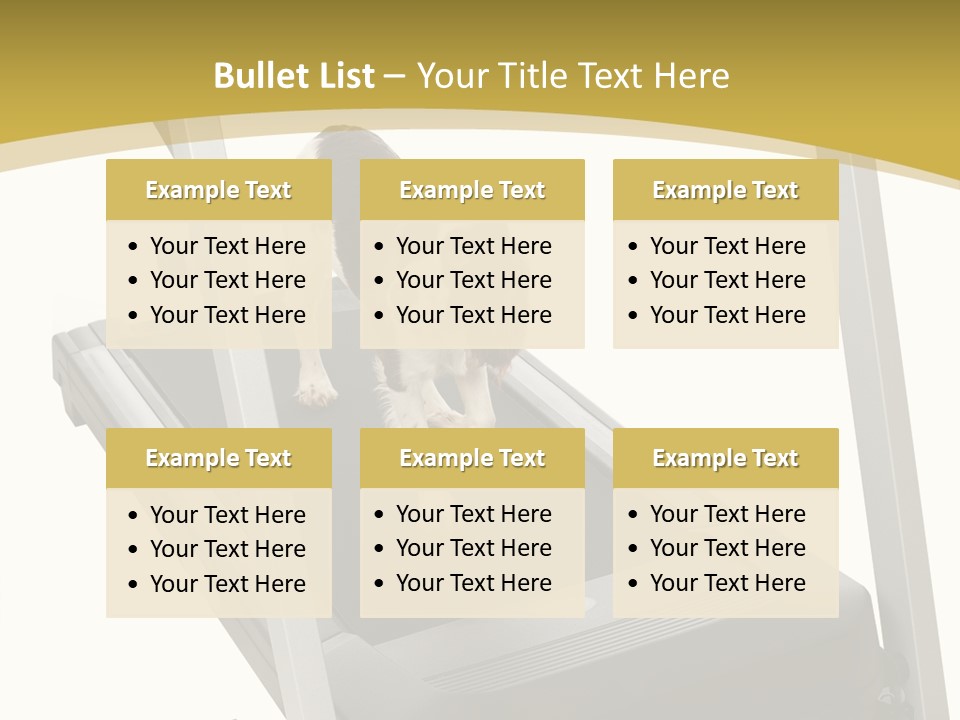 Equipment Exercise Pet PowerPoint Template