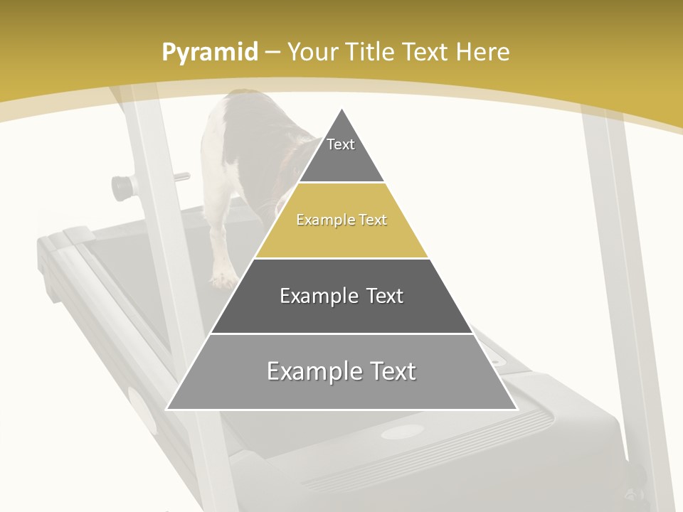 Equipment Exercise Pet PowerPoint Template