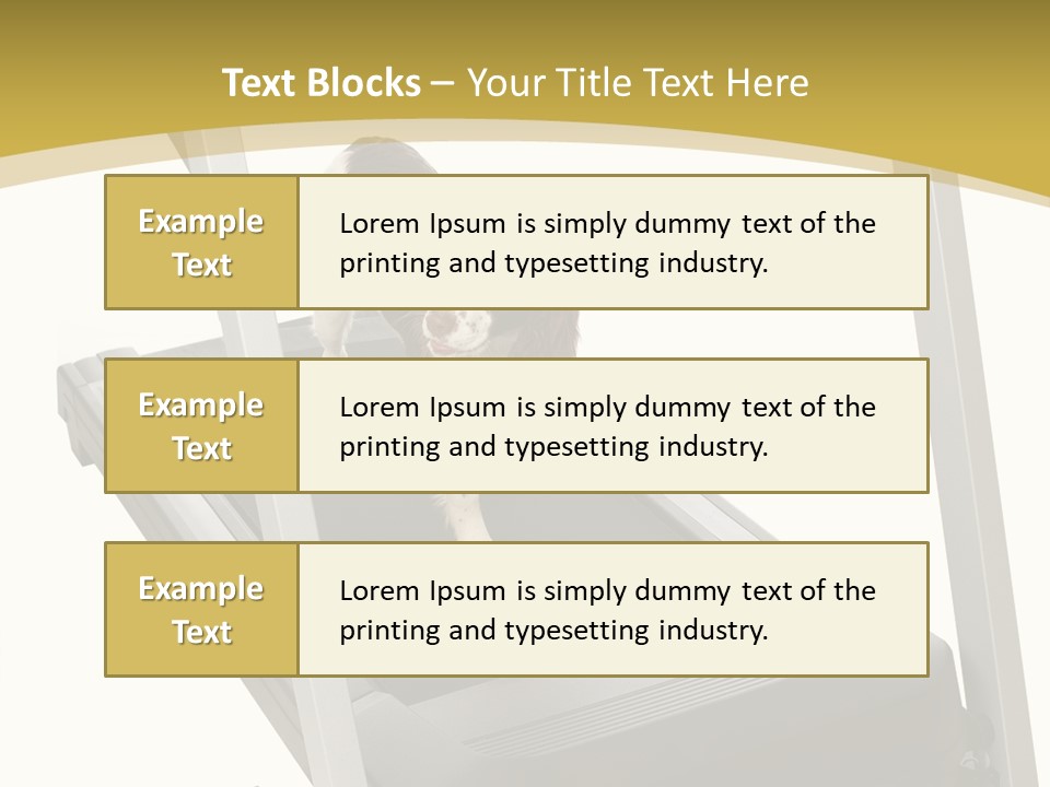 Equipment Exercise Pet PowerPoint Template