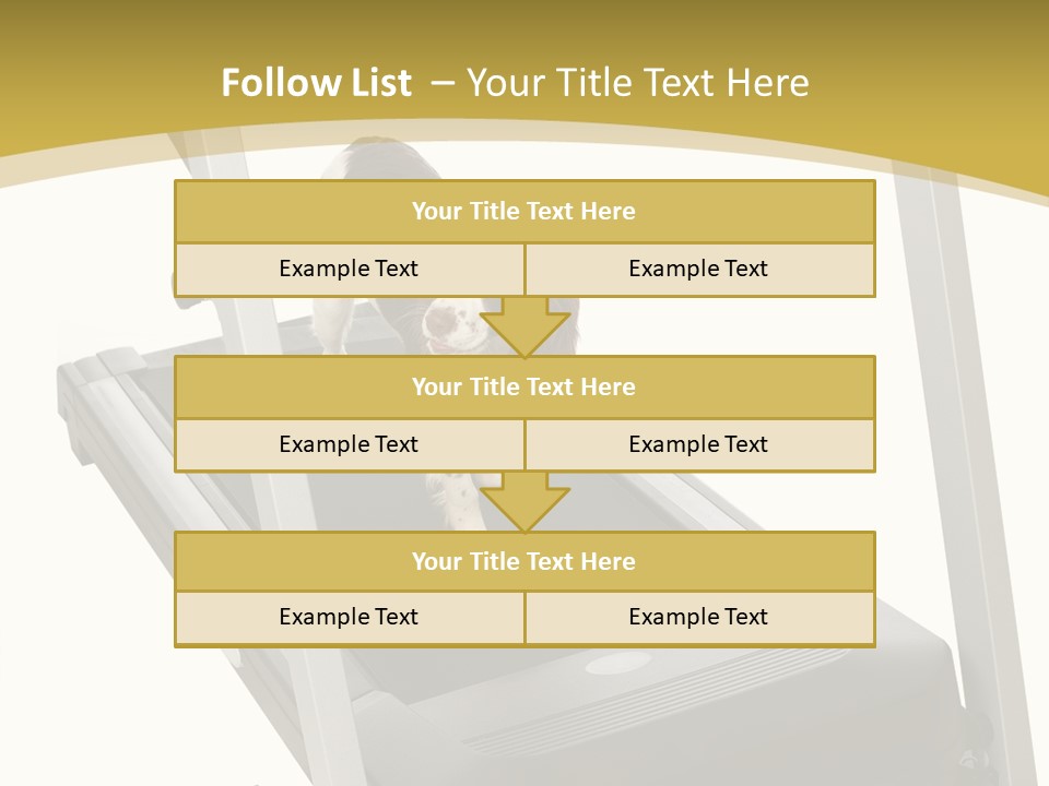 Equipment Exercise Pet PowerPoint Template
