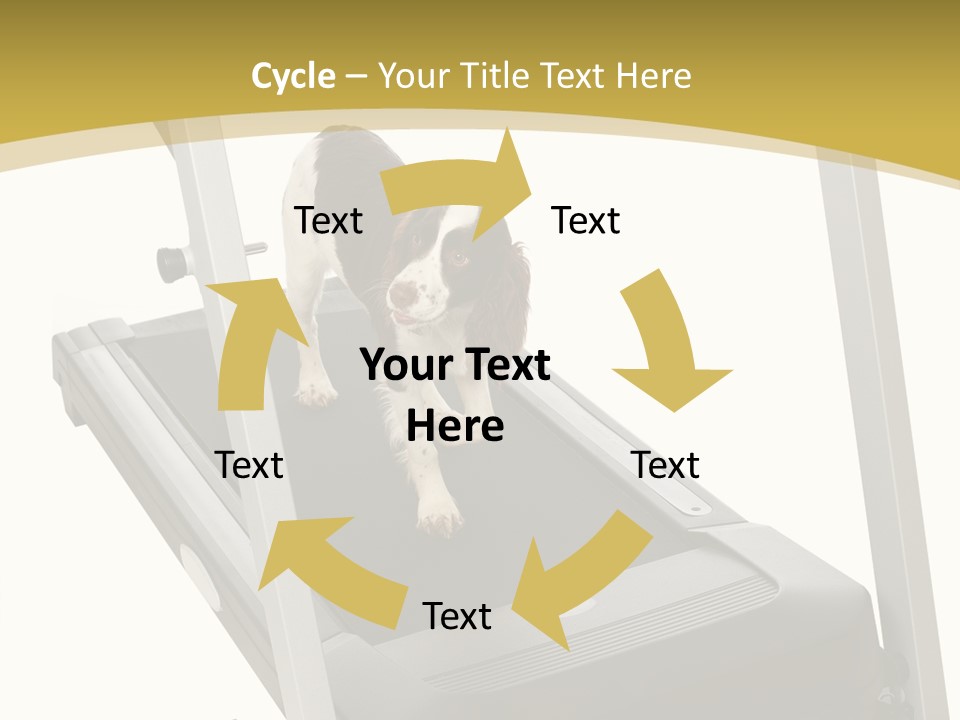 Equipment Exercise Pet PowerPoint Template