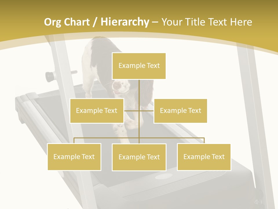 Equipment Exercise Pet PowerPoint Template