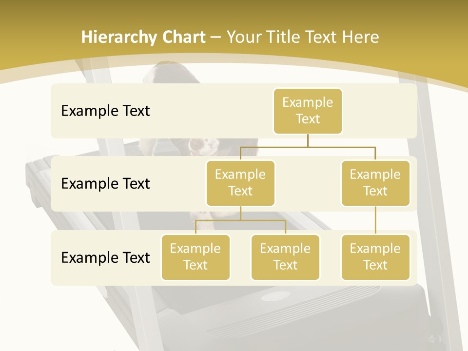 Equipment Exercise Pet PowerPoint Template