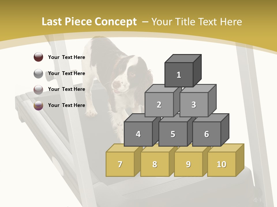 Equipment Exercise Pet PowerPoint Template