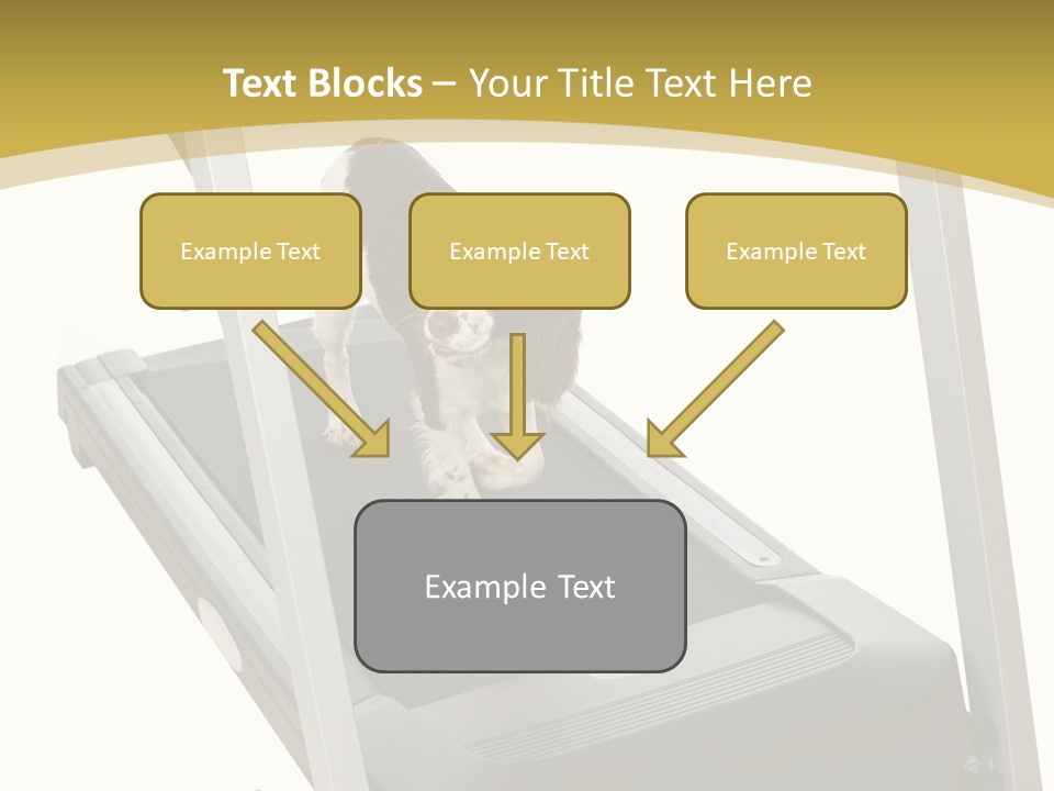 Equipment Exercise Pet PowerPoint Template