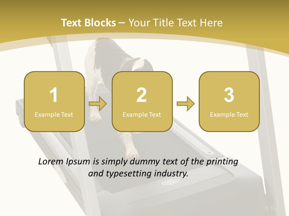 Equipment Exercise Pet PowerPoint Template