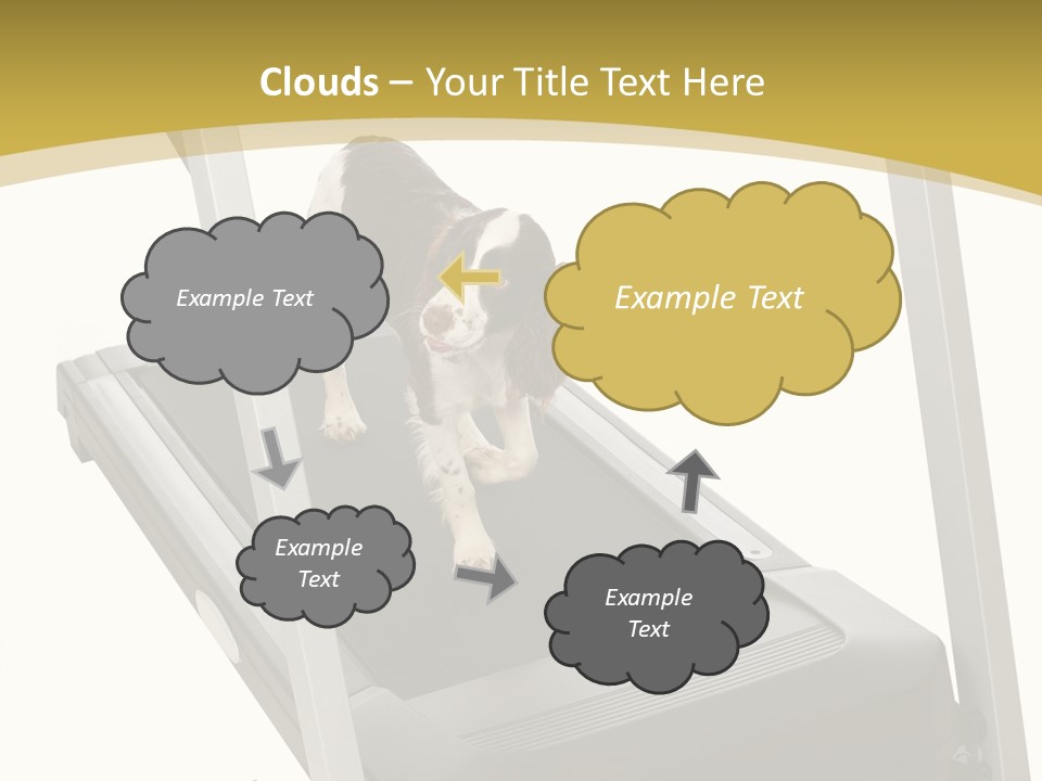 Equipment Exercise Pet PowerPoint Template
