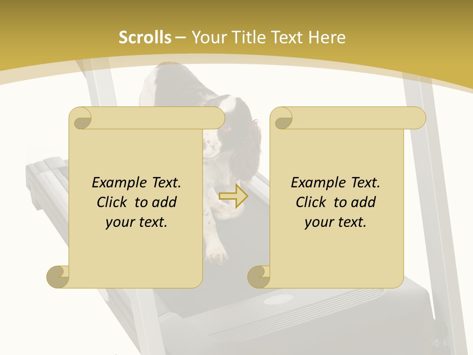 Equipment Exercise Pet PowerPoint Template