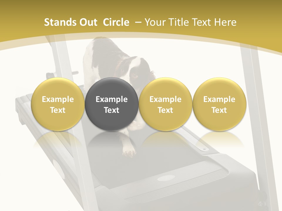 Equipment Exercise Pet PowerPoint Template