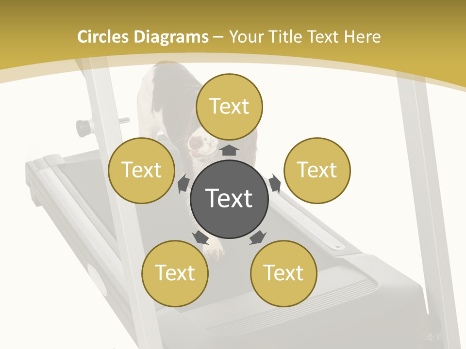 Equipment Exercise Pet PowerPoint Template