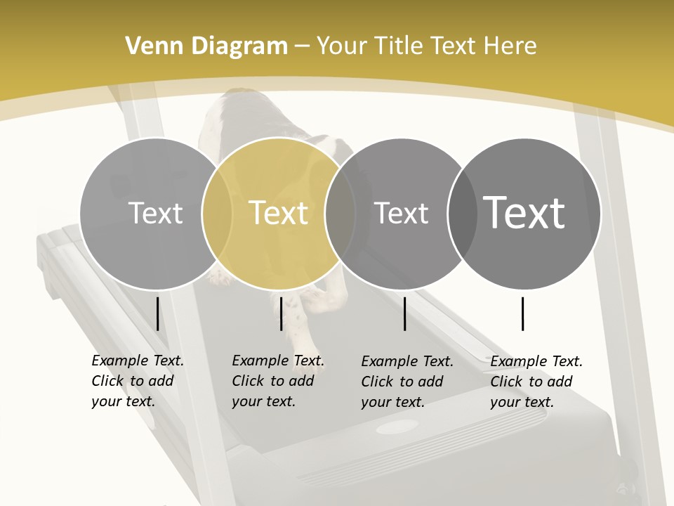 Equipment Exercise Pet PowerPoint Template