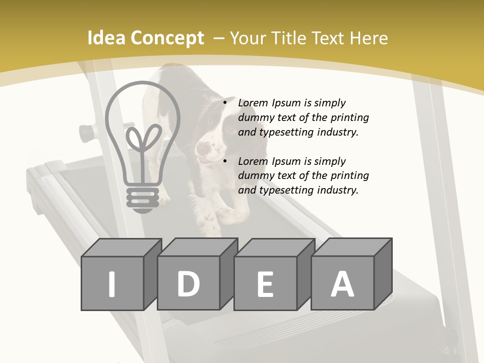 Equipment Exercise Pet PowerPoint Template