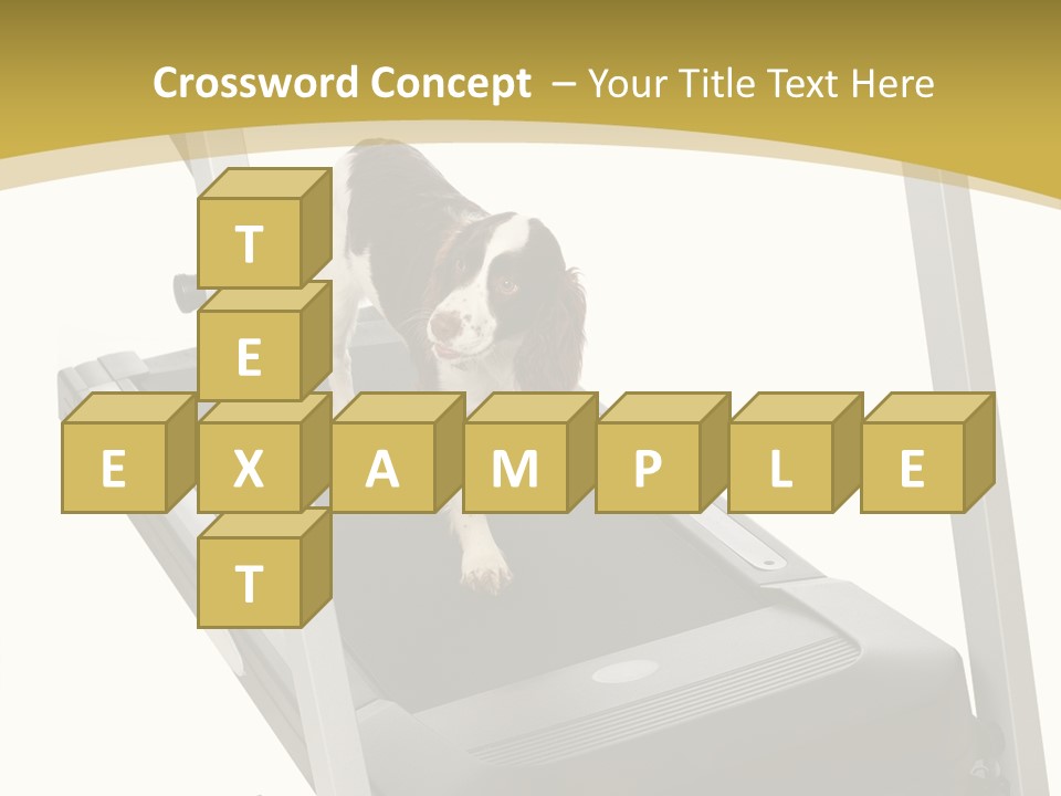 Equipment Exercise Pet PowerPoint Template