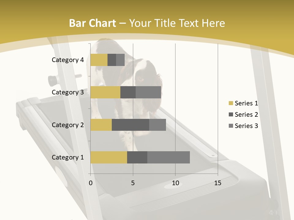 Equipment Exercise Pet PowerPoint Template