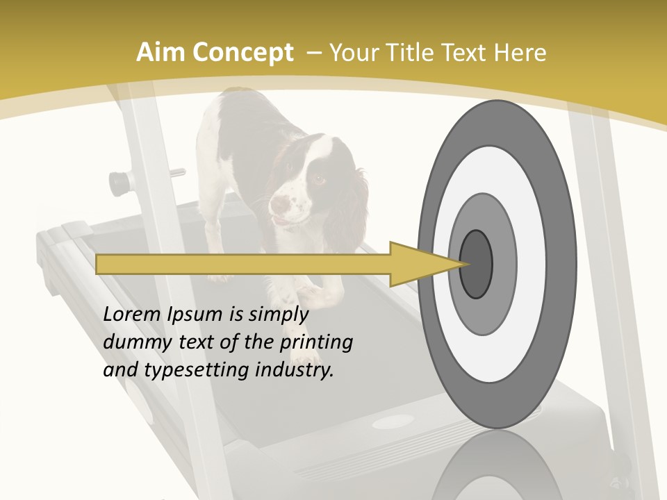 Equipment Exercise Pet PowerPoint Template