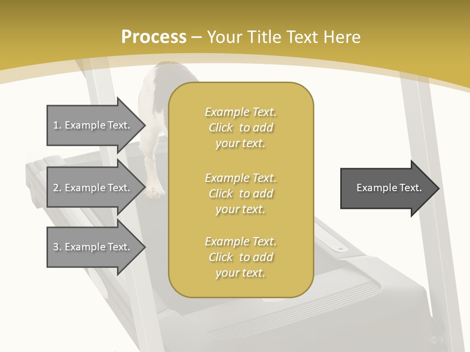 Equipment Exercise Pet PowerPoint Template