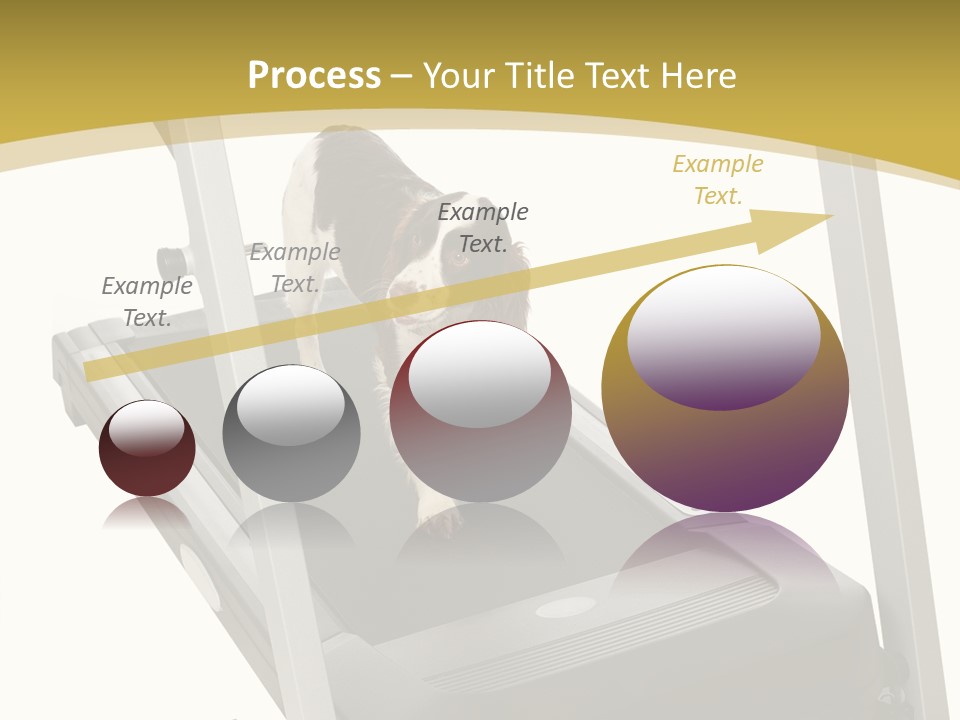 Equipment Exercise Pet PowerPoint Template