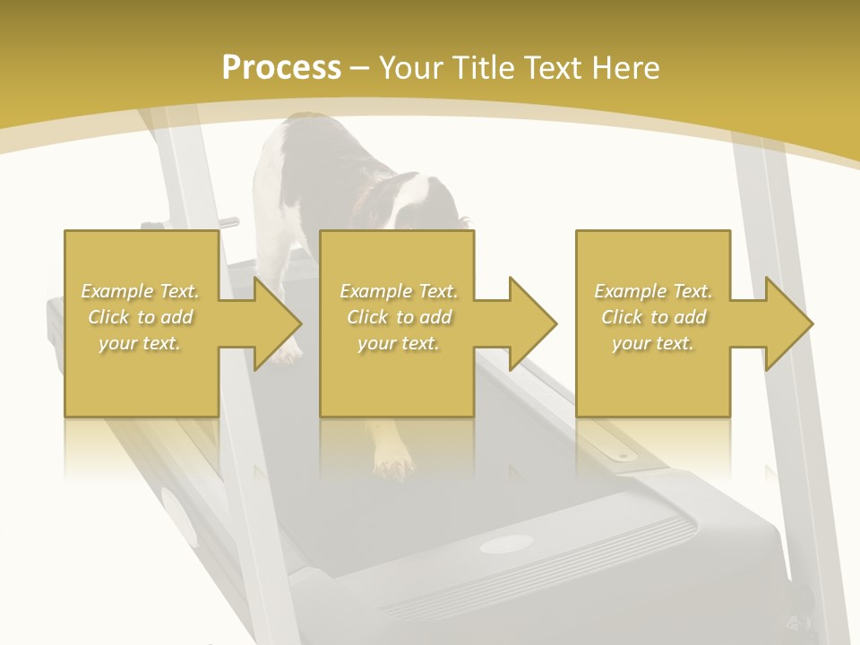 Equipment Exercise Pet PowerPoint Template