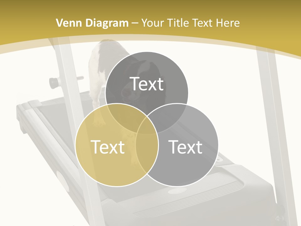 Equipment Exercise Pet PowerPoint Template