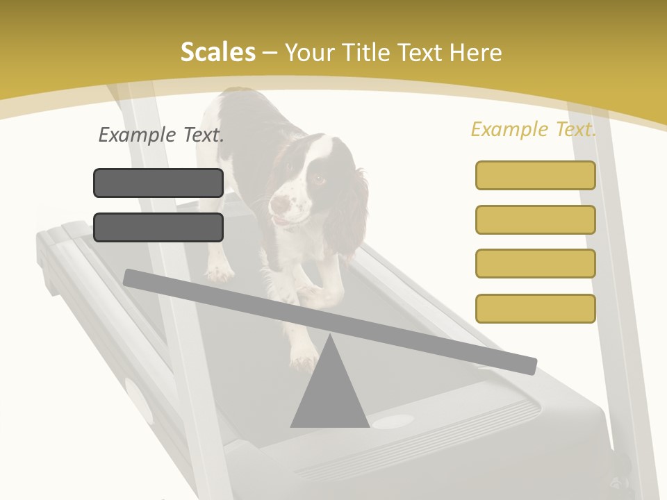 Equipment Exercise Pet PowerPoint Template