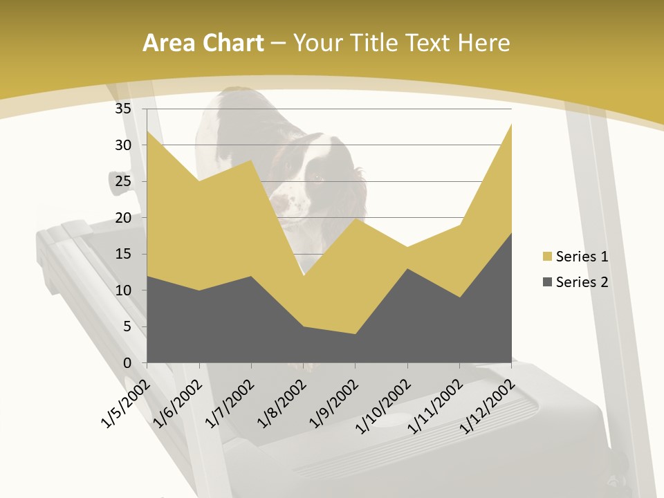 Equipment Exercise Pet PowerPoint Template