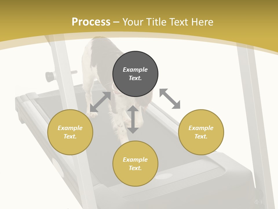 Equipment Exercise Pet PowerPoint Template