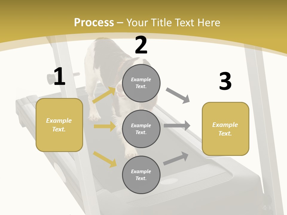 Equipment Exercise Pet PowerPoint Template