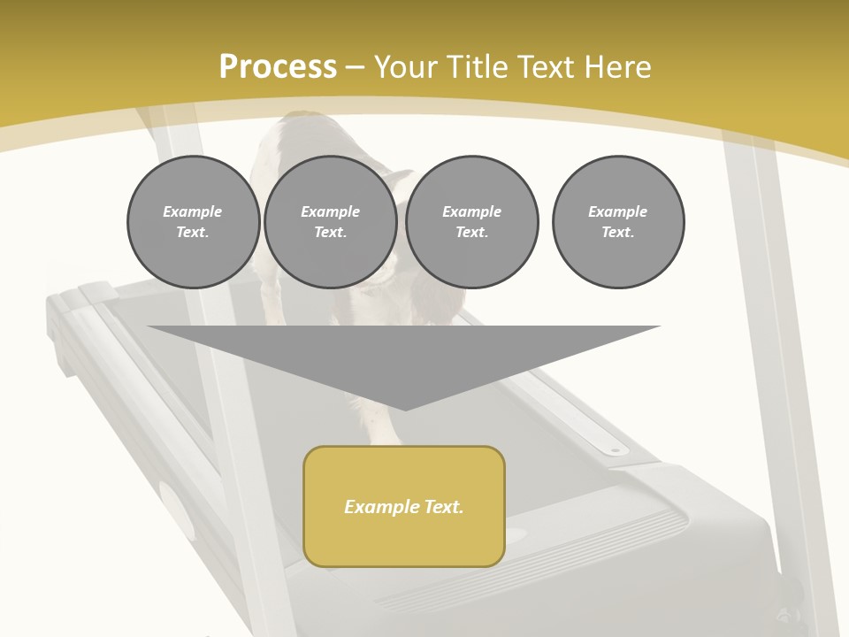 Equipment Exercise Pet PowerPoint Template