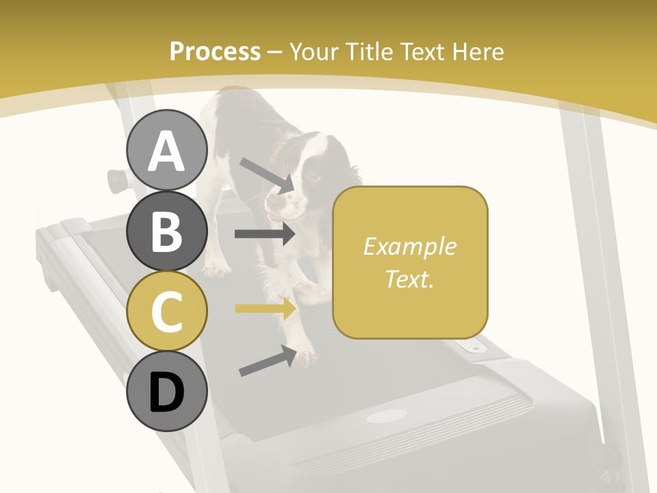 Equipment Exercise Pet PowerPoint Template