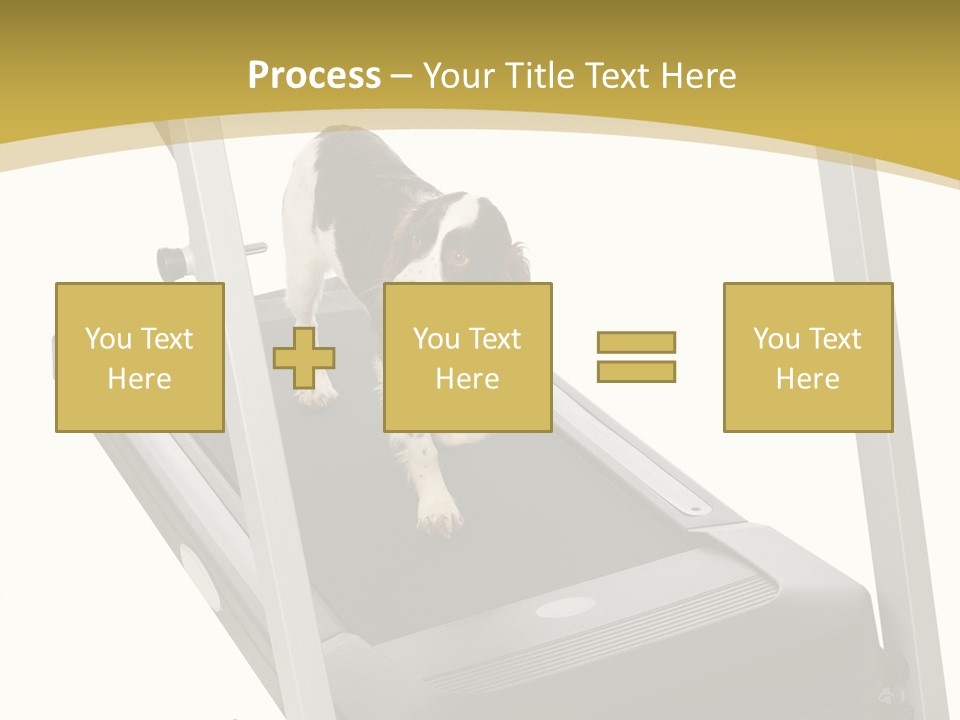Equipment Exercise Pet PowerPoint Template