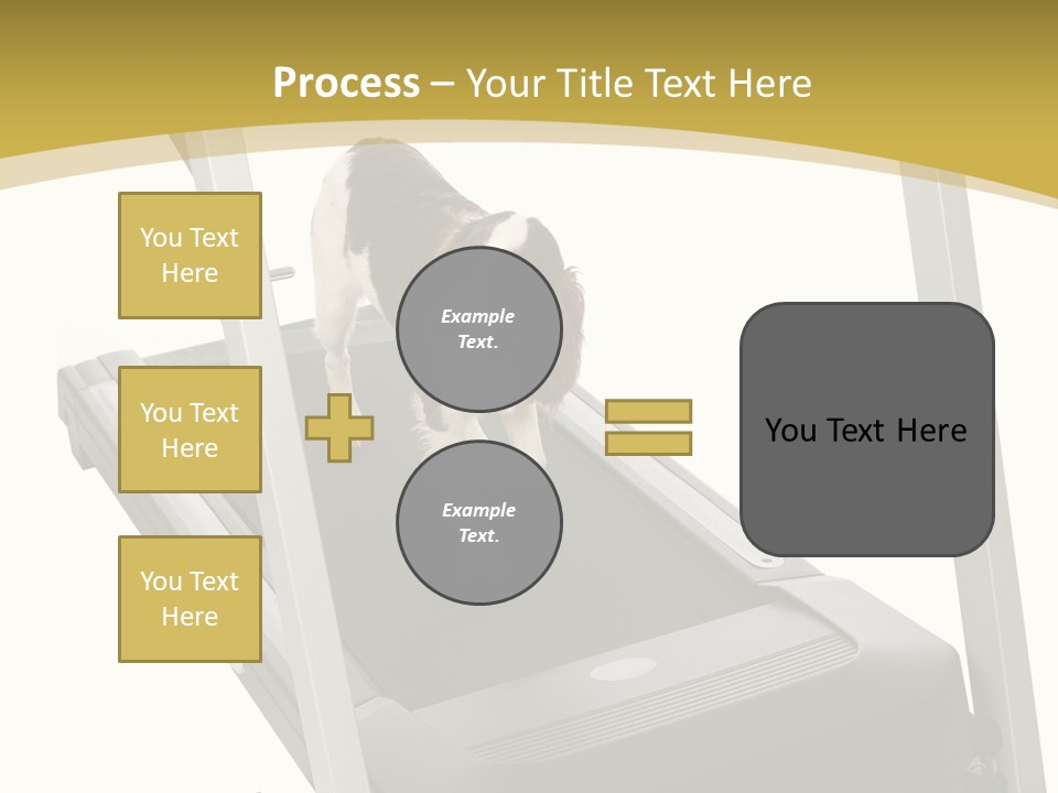 Equipment Exercise Pet PowerPoint Template