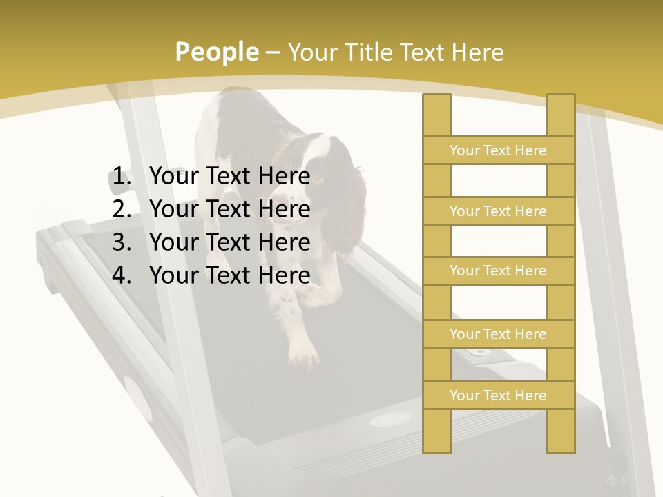 Equipment Exercise Pet PowerPoint Template