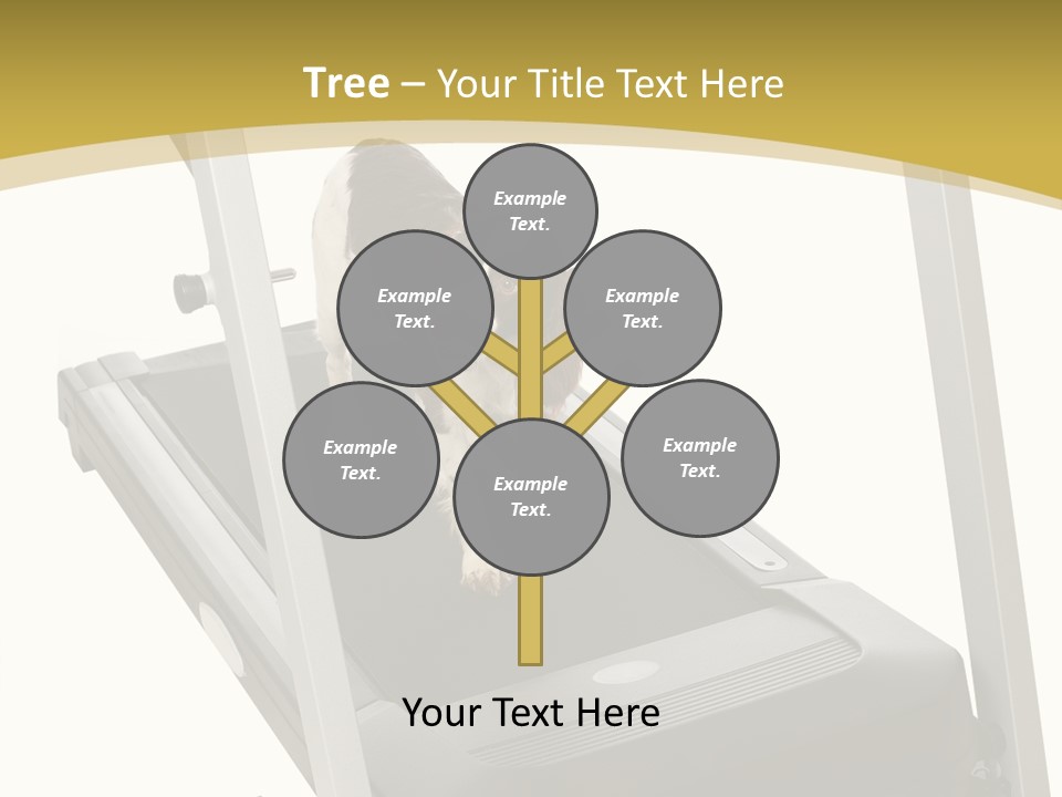 Equipment Exercise Pet PowerPoint Template