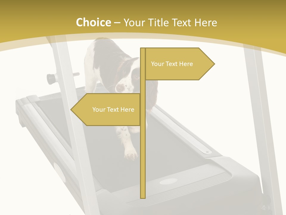 Equipment Exercise Pet PowerPoint Template