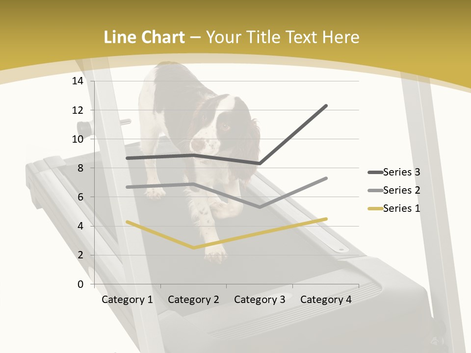 Equipment Exercise Pet PowerPoint Template