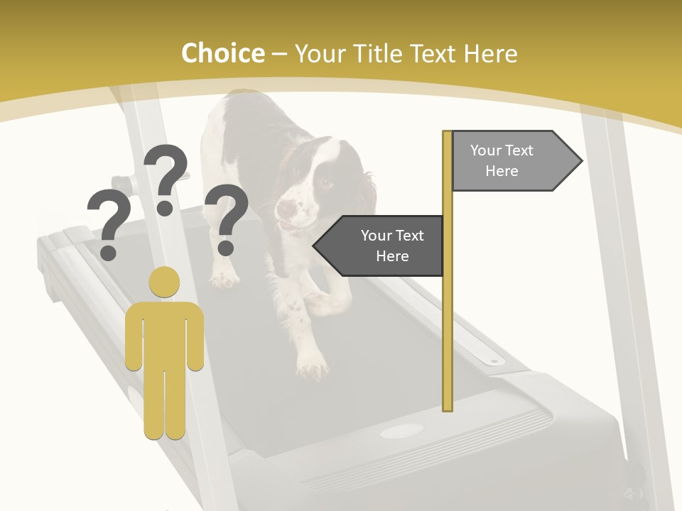 Equipment Exercise Pet PowerPoint Template