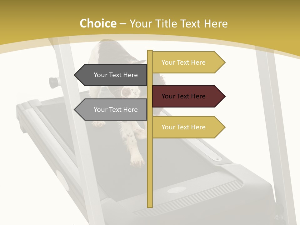Equipment Exercise Pet PowerPoint Template
