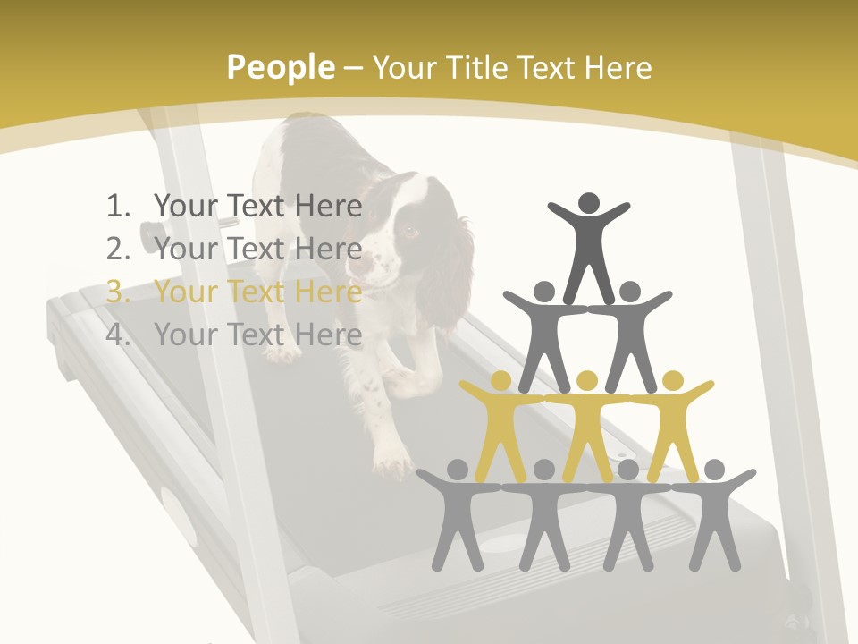 Equipment Exercise Pet PowerPoint Template