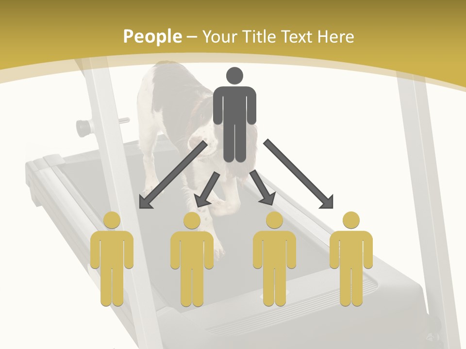 Equipment Exercise Pet PowerPoint Template