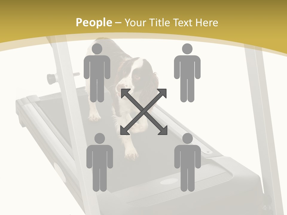 Equipment Exercise Pet PowerPoint Template