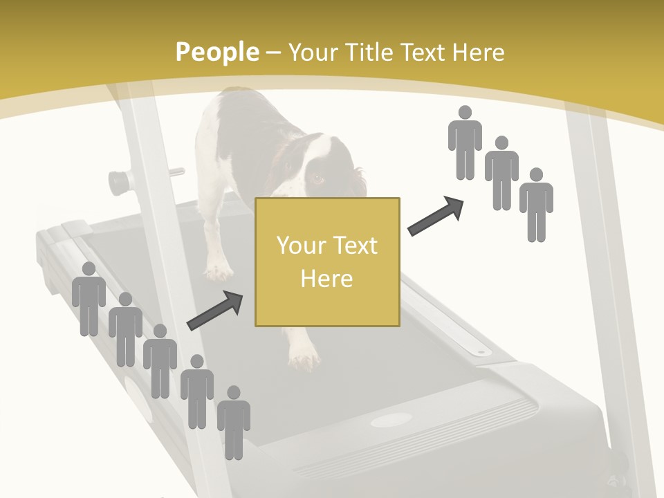 Equipment Exercise Pet PowerPoint Template