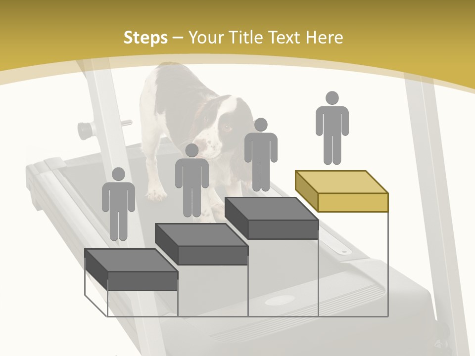 Equipment Exercise Pet PowerPoint Template