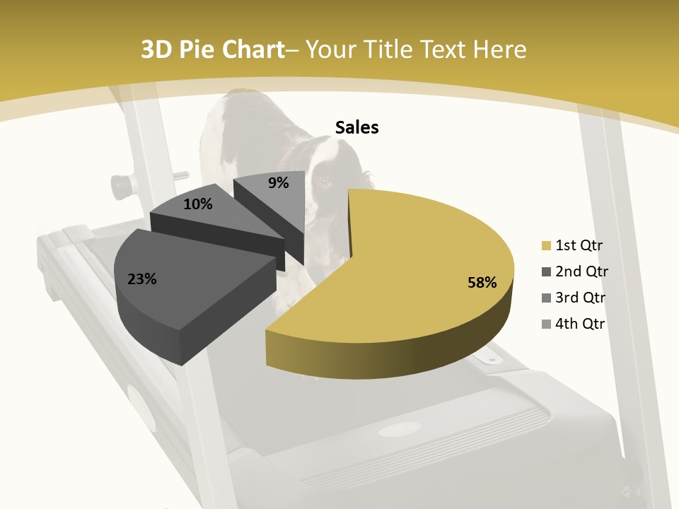 Equipment Exercise Pet PowerPoint Template